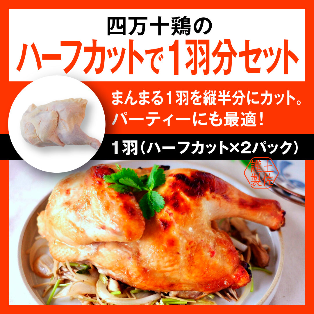 四万十鶏 ハーフカットで1羽分セット