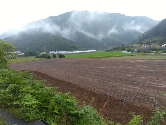 高知・四万十の8月