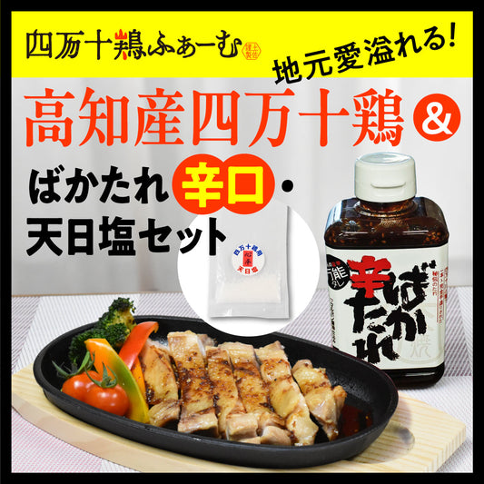 人気のセットに新しい仲間が出来ました！