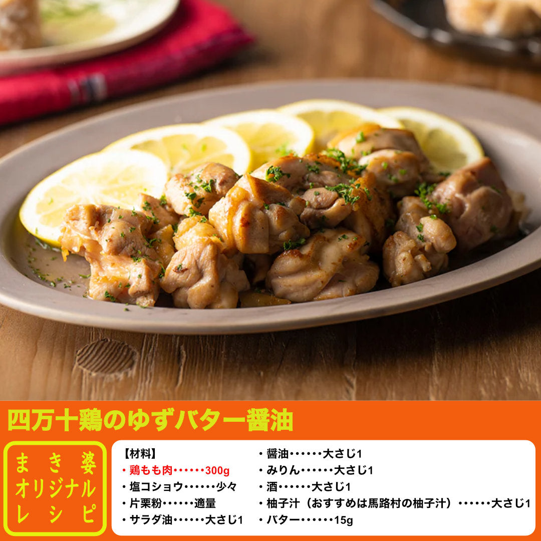 ★四万十鶏もも・むねと選べるかんたんパパっと料理セット【初回限定送料無料】【お一人３個まででお願いします】