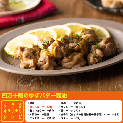 ★四万十鶏もも・むねと選べるかんたんパパっと料理セット【初回限定送料無料】【お一人３個まででお願いします】