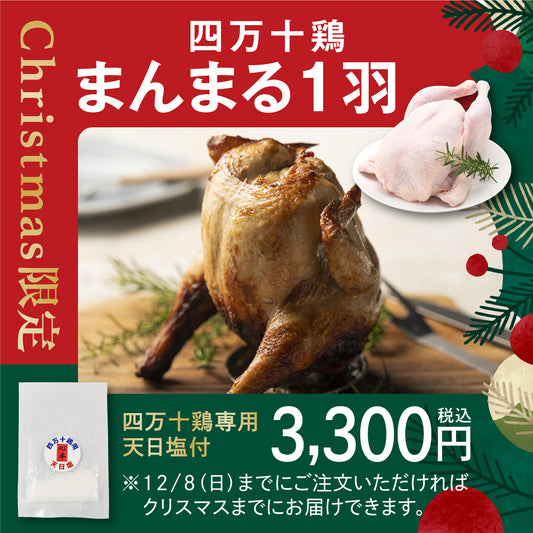 【Christmas限定】四万十鶏まんまる1羽