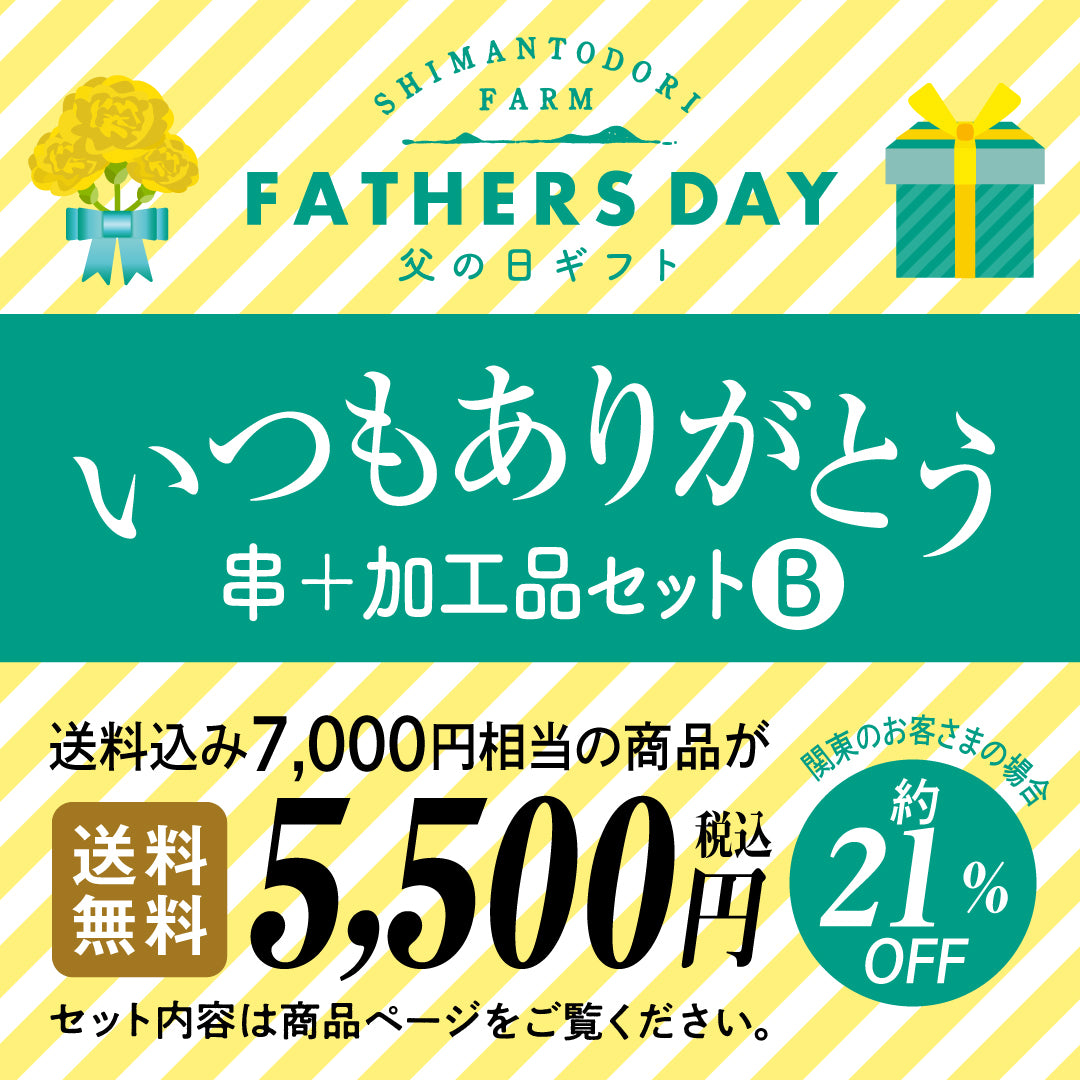 父の日ギフト　いつもありがとう　【串＋加工品セットB】
