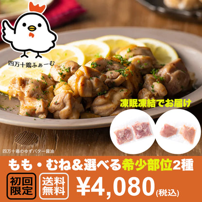 ★四万十鶏　もも・むねと希少部位のおいしいとこ鶏セットプラス２【初回限定送料無料】【お一人３個まででお願いします】