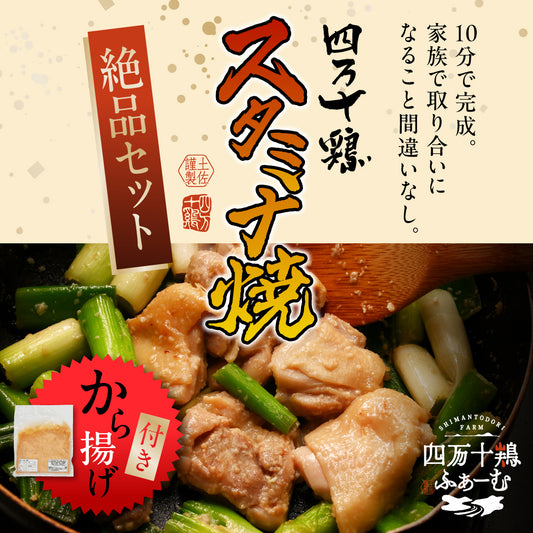 【絶品セット】四万十鶏　スタミナ焼きセット(からあげ付き)