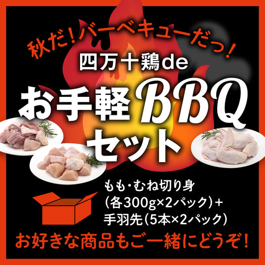 四万十鶏de　お手軽BBQセット